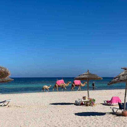 Droit de bouchon tunisie