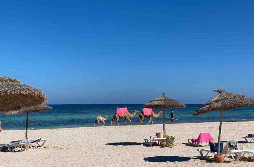 Droit de bouchon tunisie