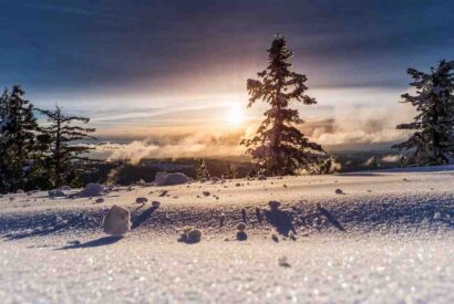 Thumbnail for Idée smoothie fruit hiver