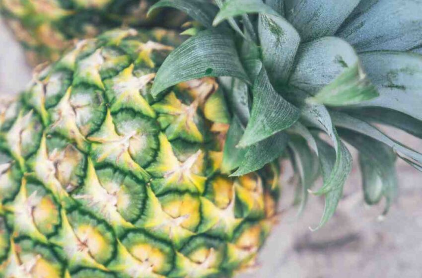 Idees smoothie ananas