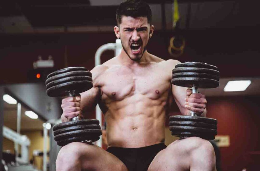 Menu semaine musculation