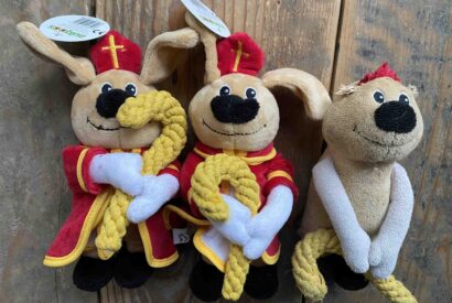 Thumbnail for Où se trouve Zooplus ?