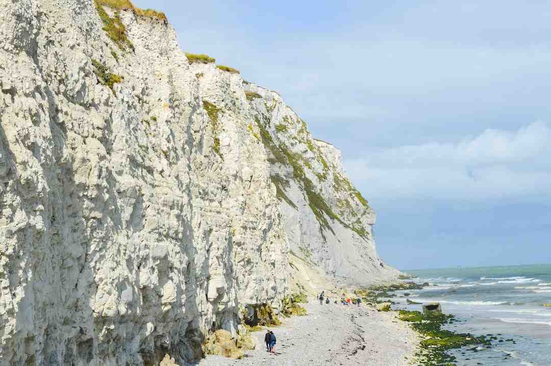 Où vont les taxes sur l'alcool ?