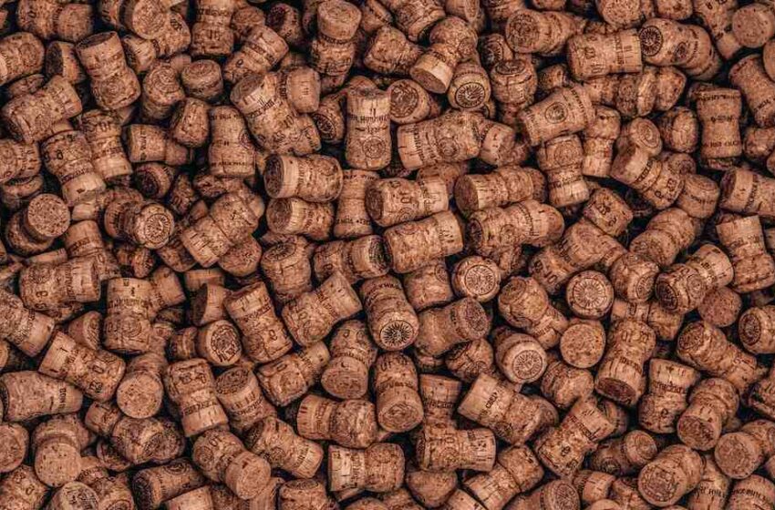 Pourquoi le bouchon de champagne ?