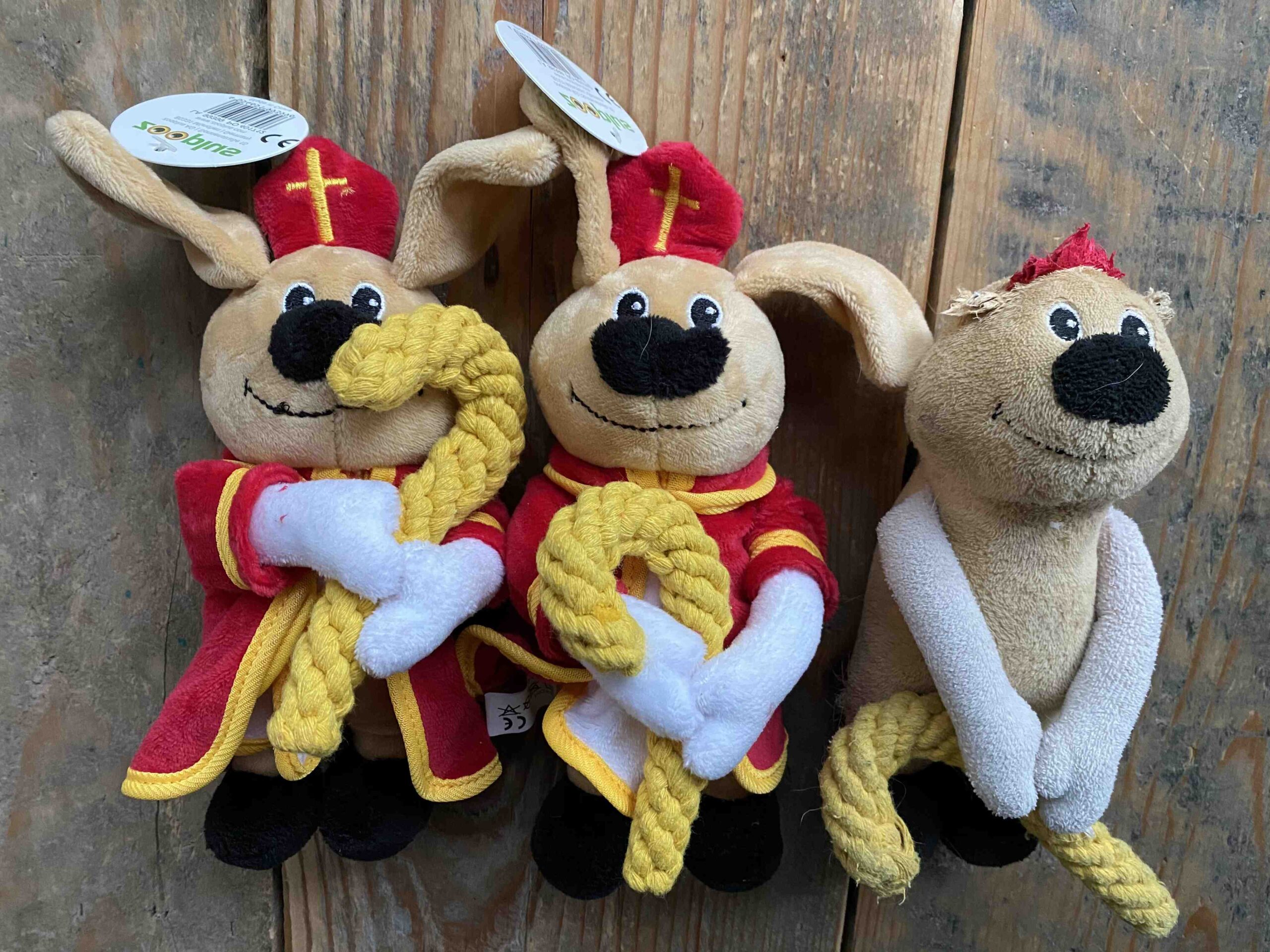 Quel animal peut rester seul la journée ?