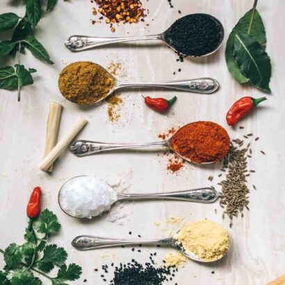 Quel est le plat traditionnel de l'Inde ?