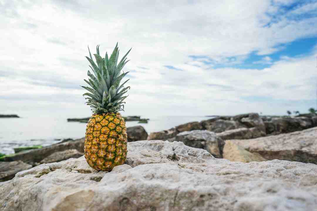 Quel fruit ne pas mettre au frigo ?
