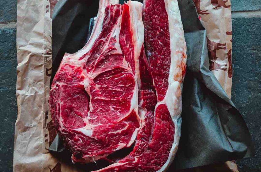 Quelle viande pour changer ?