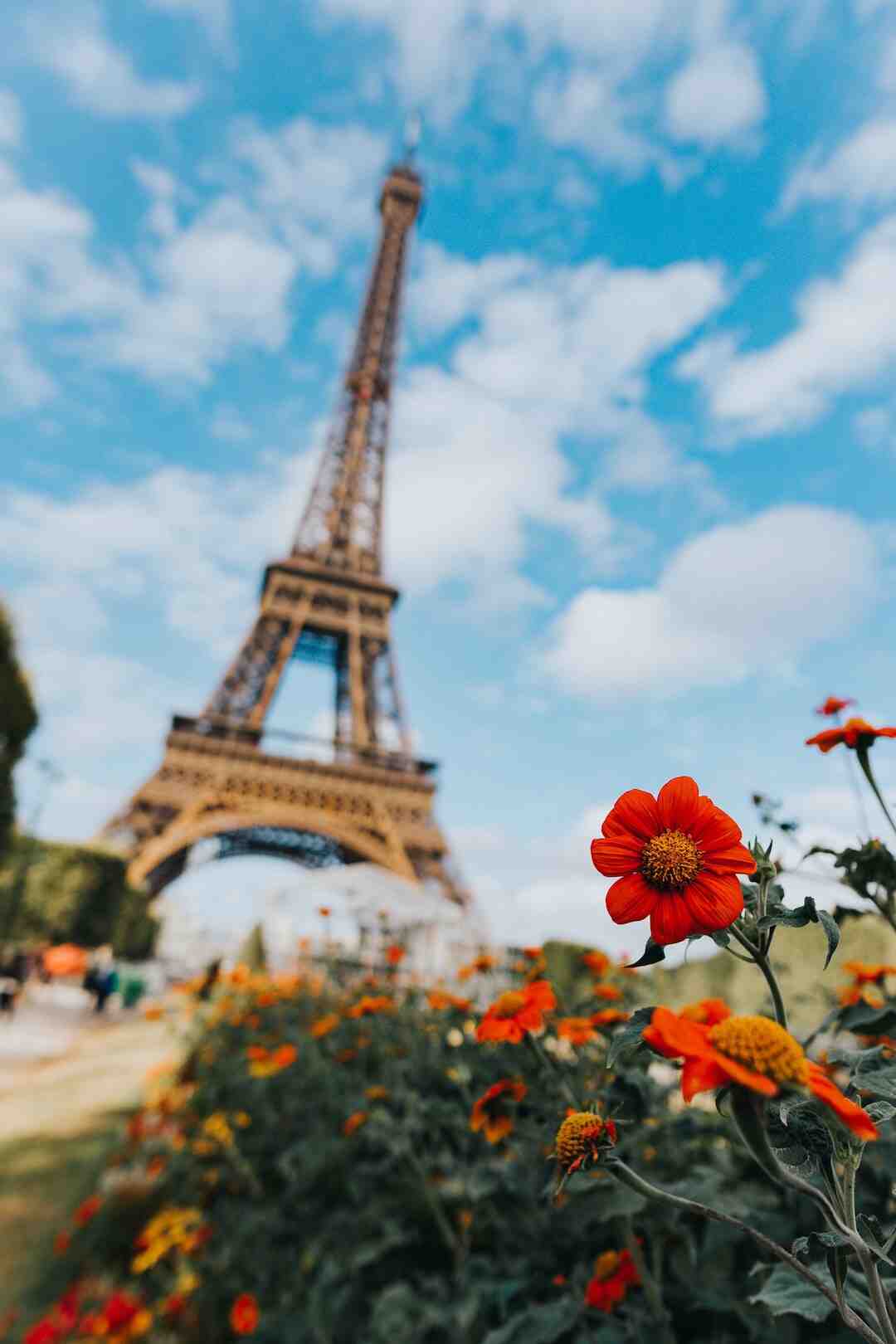Quels sont les enjeux et les limites du made in France ?