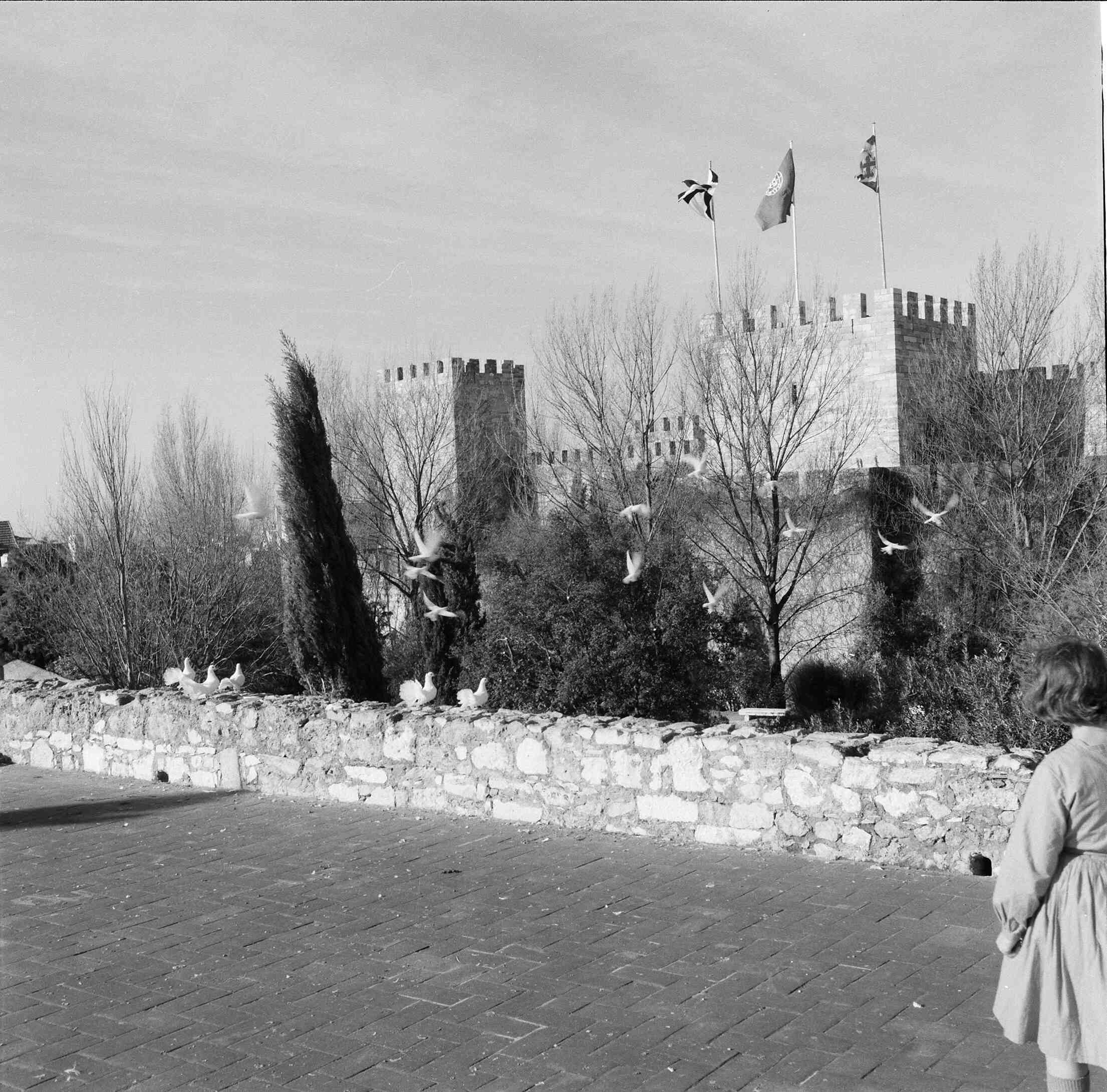 Quels sont les pays colonisés par les portugais ?