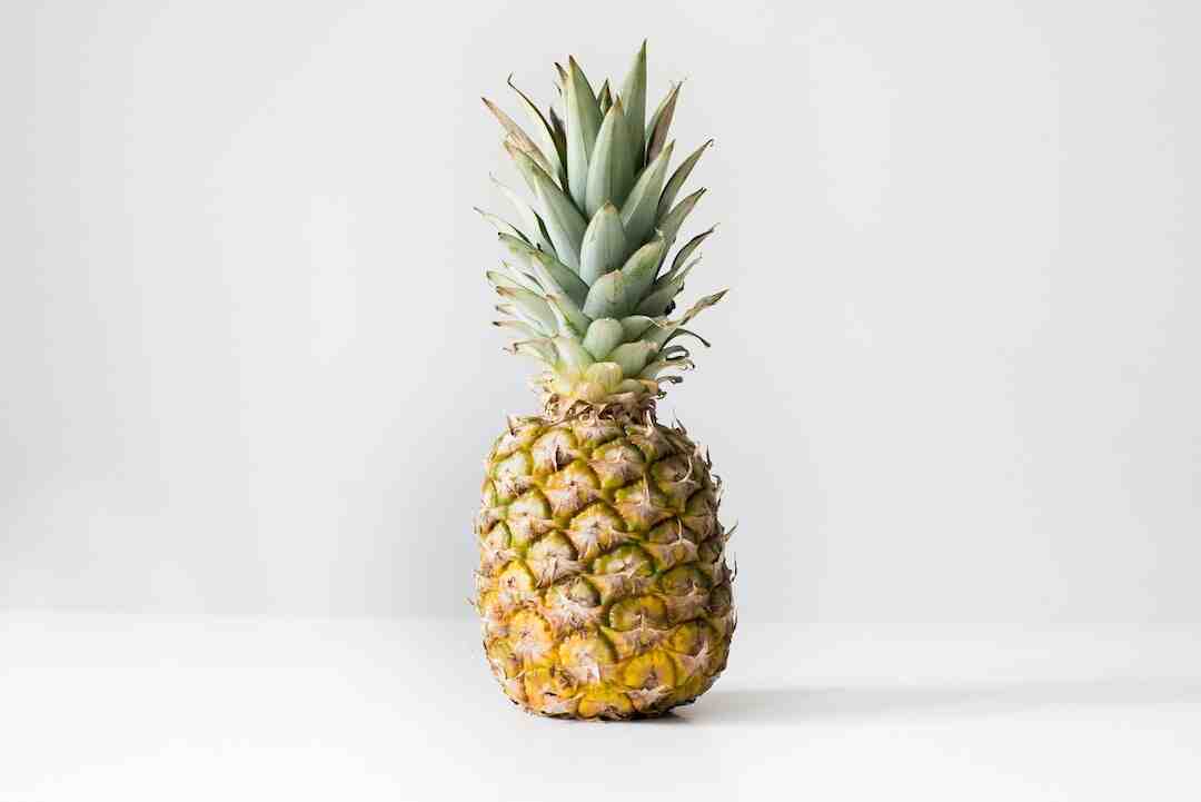 Qu'est-ce qui se marie bien avec la mangue ?