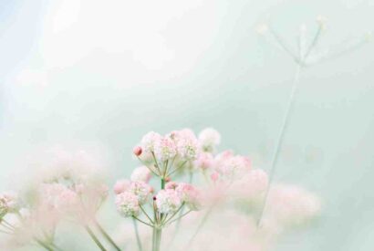 Thumbnail for Qu&rsquo;est-ce qu&rsquo;on mange au printemps ?
