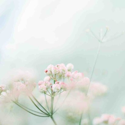 Qu'est-ce qu'on mange au printemps ?