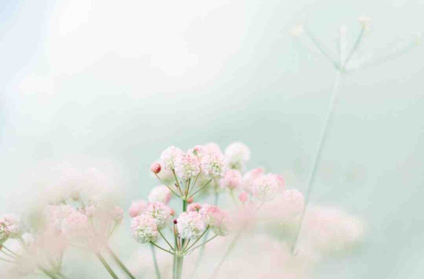 Qu'est-ce qu'on mange au printemps ?