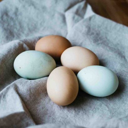 Repas de paques chez picard