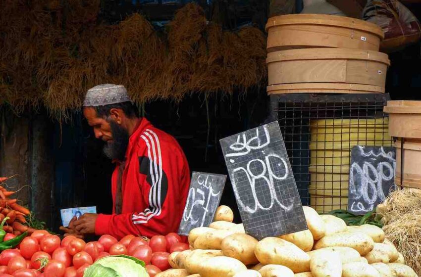 Vente épices en ligne tunisie