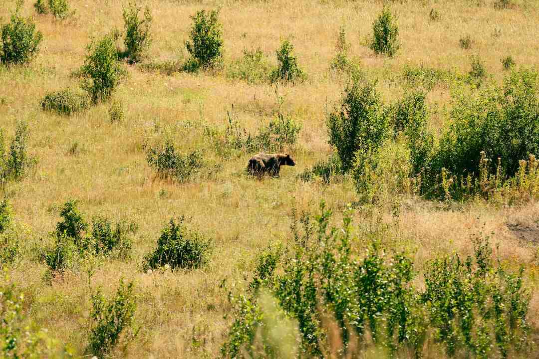 C'est quoi un tablier bavette ?