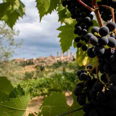 Comment se faire livrer de la nourriture en campagne ?