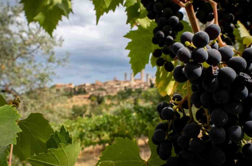 Comment se faire livrer de la nourriture en campagne ?