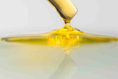 Thumbnail for Comment se fait le sirop d&rsquo;érable ?