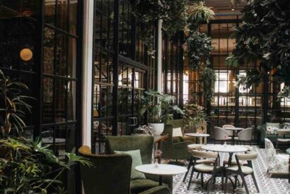 Thumbnail for Est-ce qu&rsquo;il existe des restaurants 5 étoiles ?