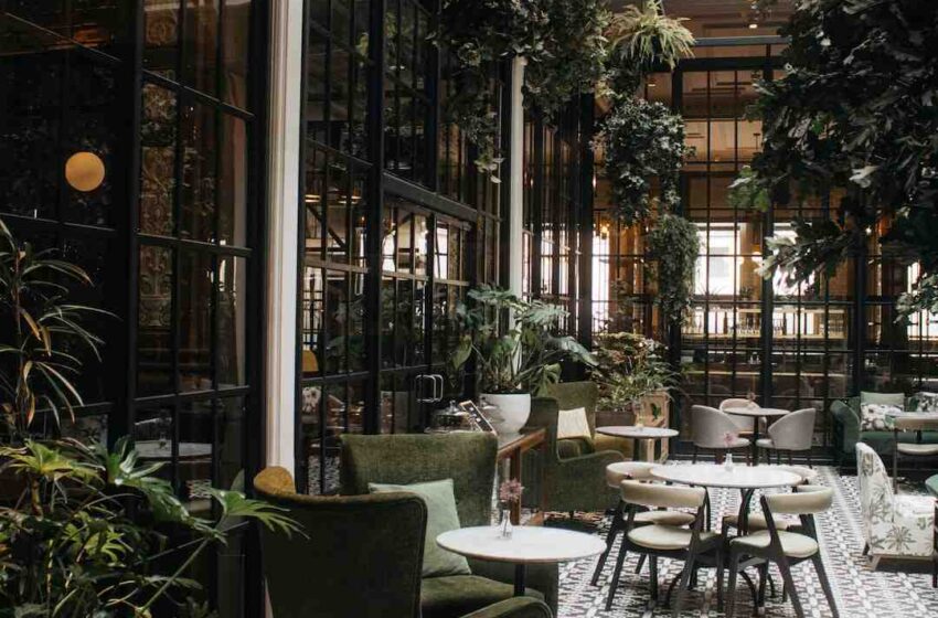 Est-ce qu'il existe des restaurants 5 étoiles ?