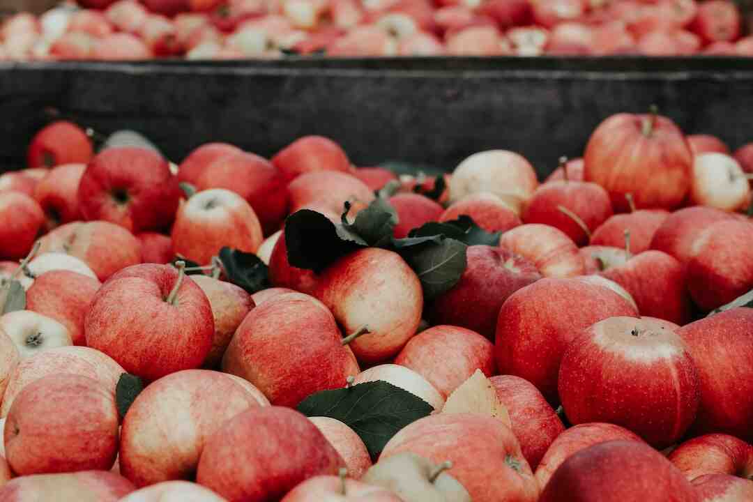 Quels sont les fruits et légumes du mois de septembre ?