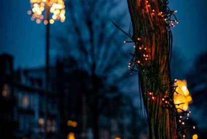 Thumbnail for Qu&rsquo;est-ce que l&rsquo;on mange ce soir ?