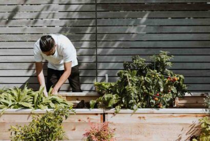 Thumbnail for Recette top chef cyril lignac